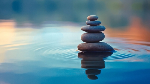 comment pratiquer la méditation, guide de Bruno Lallement