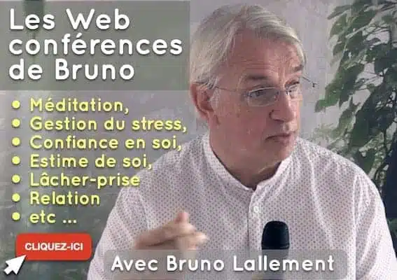 Conférence avec Bruno Lallement