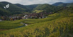 Paysages d'alsace