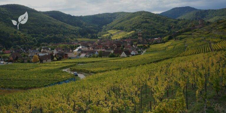 Paysages d'alsace