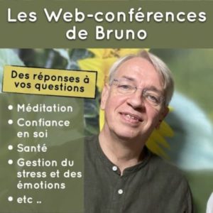 les web-conférences de Bruno Lallement