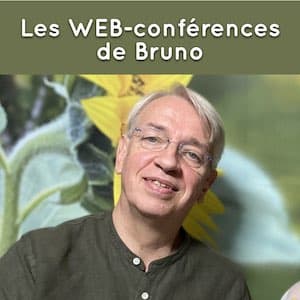 Bruno Lallement