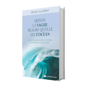 livre de Bruno Lallement Quand la vague réalise qu'elle est l'océan - Vous n'êtes pas ce que vous croyez, vous êtes bien plus