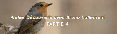 vivre Bruno Lallement