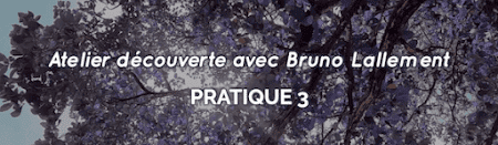 objectifs Bruno Lallement