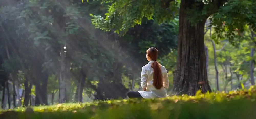 Ressources et actualisation : cours et stage de méditation avec Bruno Lallement - Méditer avec Ressources et Actualisation apprendre à méditer avec Bruno Lallement
