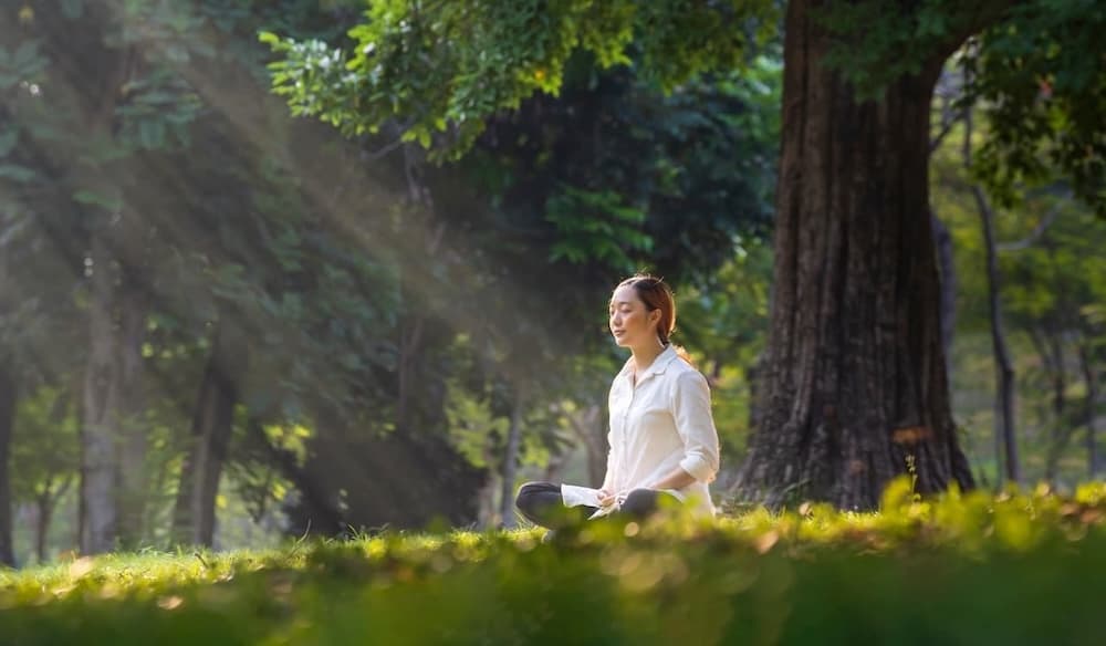 stage de méditation