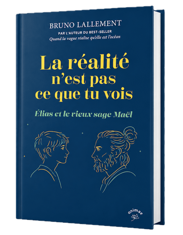 Livre de Bruno Lallement