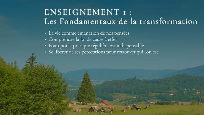 stage en vidéo avec bruno lallement