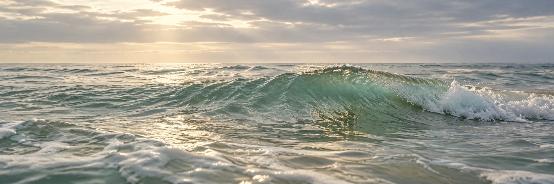 Quand la vague réalise qu’elle est l’océan - Méditer avec Ressources & Actualisation quand la vague réalise qu'elle est l'océan