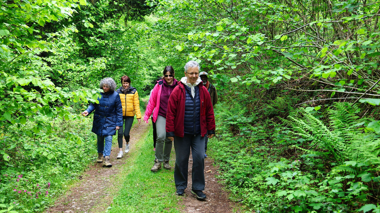 Stage de méditation avec Bruno Lallement - Méditer avec Ressources & Actualisation promenades pendant le stage de méditation