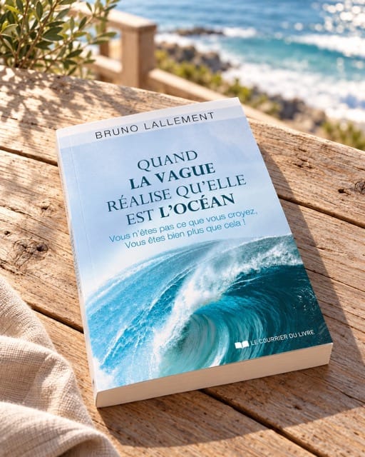Les Livres de Bruno Lallement - Méditer avec Ressources et Actualisation quand la vague réalise qu'elle est l'océan