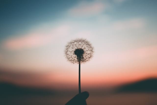 aleksandr ledogorov G JJy Yv dA unsplash