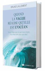 Quand la vague réalise qu’elle est l’océan - Méditer avec Ressources & Actualisation livre vague site 191x300 1