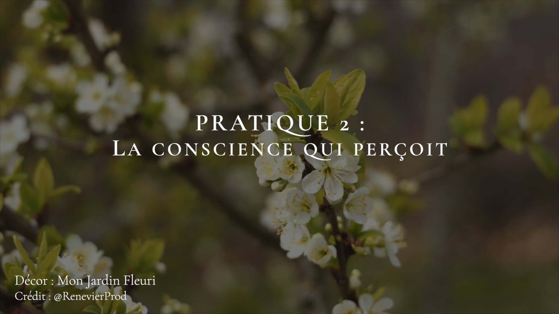 Programme INITIATION - Méditer avec Ressources & Actualisation programme initiation pratique 2